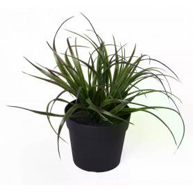Изкуствено растение в саксия ТИЛАНДСИЯ UV H20 cm